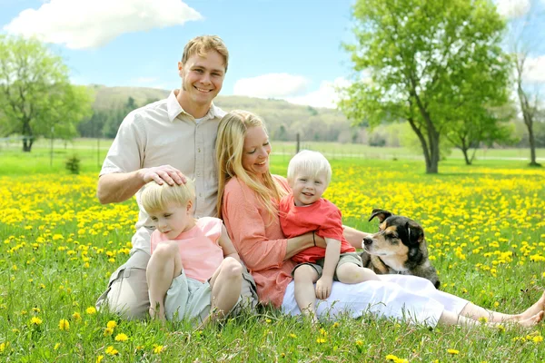 Glückliche Familie entspannt sich draußen im Blumenfeld mit Hund — Stockfoto