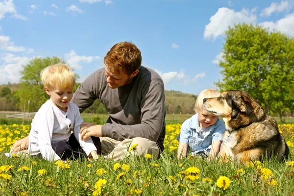 Pai, Crianças e Cão Relaxando em Flower Meadow — Fotografia de Stock