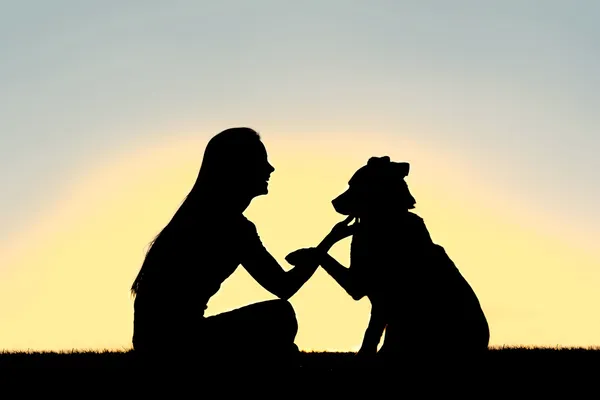 Mulher e cão tremendo mãos pôr do sol silhueta — Fotografia de Stock