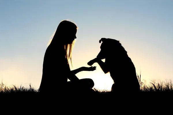 女性と彼女の犬の手のシルエットが揺れ — ストック写真
