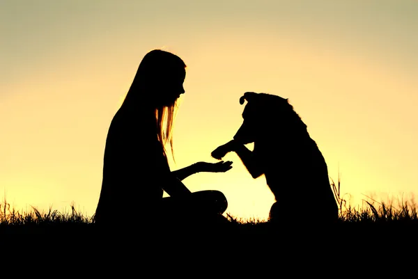 Mujer y su perro sacudiendo manos silueta —  Fotos de Stock