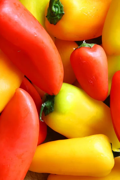 Colllection of Fresh, Sweet Red and Yellow Peppers Background — Stock Photo, Image