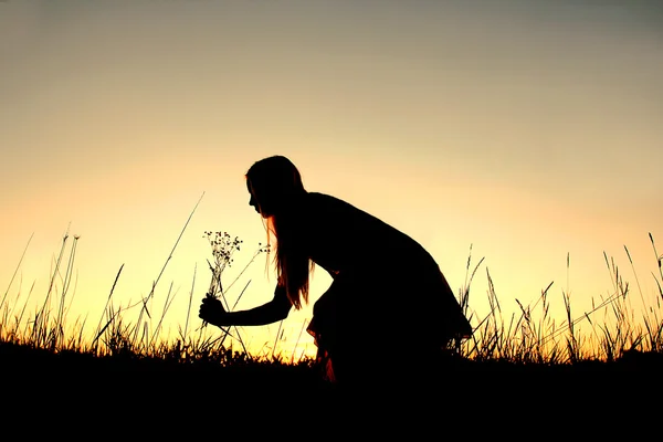 Silhueta de mulher escolhendo flores silvestres no prado ao pôr do sol — Fotografia de Stock
