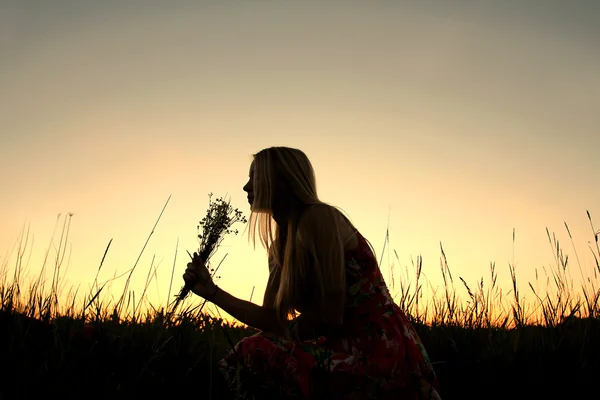 일몰에 풀밭에서 꽃 따기 여자의 실루엣 — 스톡 사진