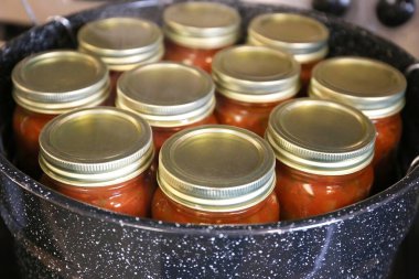 Kavanozlar dolusu yeni konserve ev yapımı salsa büyük bir mutfak kabında kaynatıldıktan sonra soğuyor..