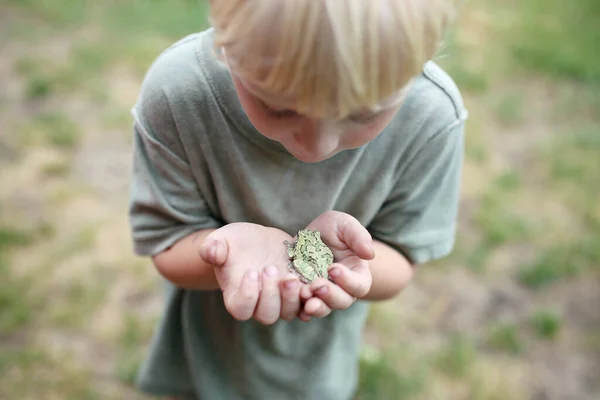 小さな男の子が裏庭に小さな灰色の木のカエルを持っている — ストック写真
