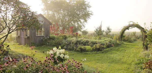 Sıcacık Küçük Kırsal Bir Ahşap Kulübe Etrafını Bitkiler Çiçekler Sarmış — Stok fotoğraf