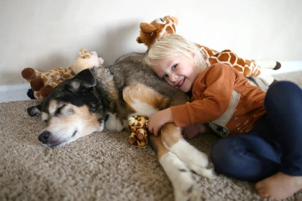 一个可爱的小女孩一边抱着她收养的宠物德国牧羊者 一边玩着她的玩具毛绒长颈鹿 一边高兴地笑着 — 图库照片