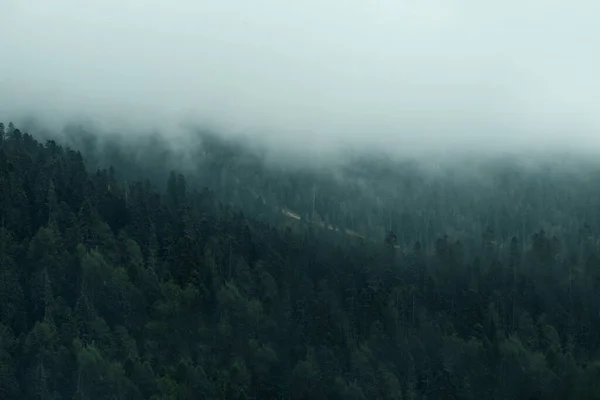 Majestic view on beautiful fog mountains in mist landscape. Dramatic unusual scene. Travel background. Exploring beauty world. The Caucasus Mountains. Sochi district, Russia