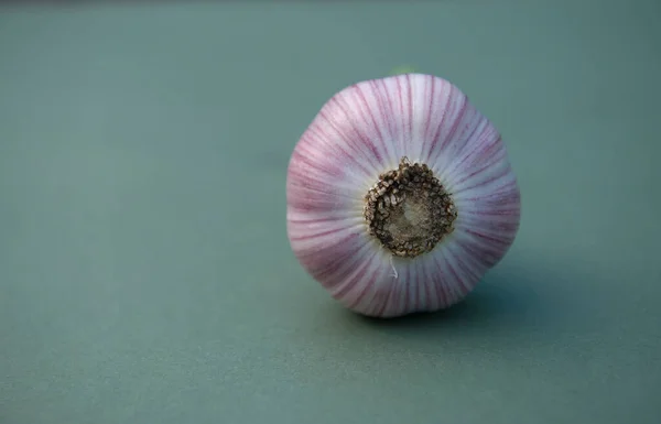 Garlic. Bulb of young garlic. Fresh garlic on a bright colored background. copy space,garlic close-up.
