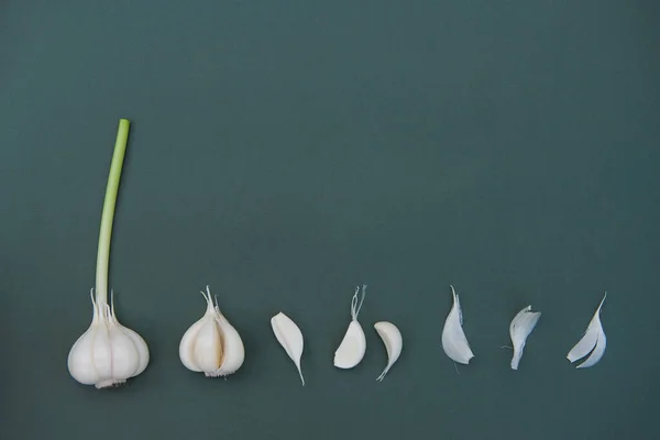 Two fresh bulbs of Garlic. Bulb of young garlic. Fresh garlic on a bright background. copy space, garlic close-up.