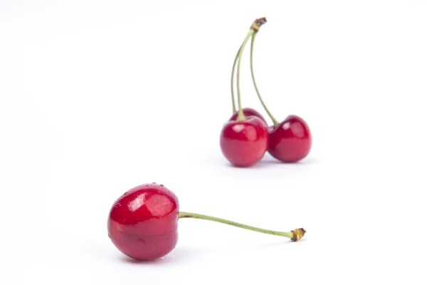 Sweet cherry — Zdjęcie stockowe