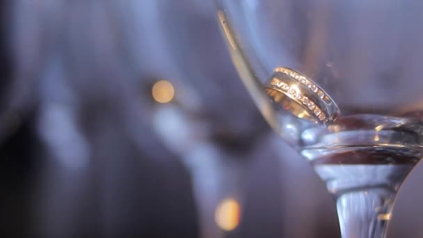 Wedding rings — Stock Video