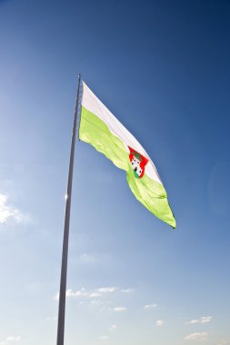 Ljubljana bayrak simgesi