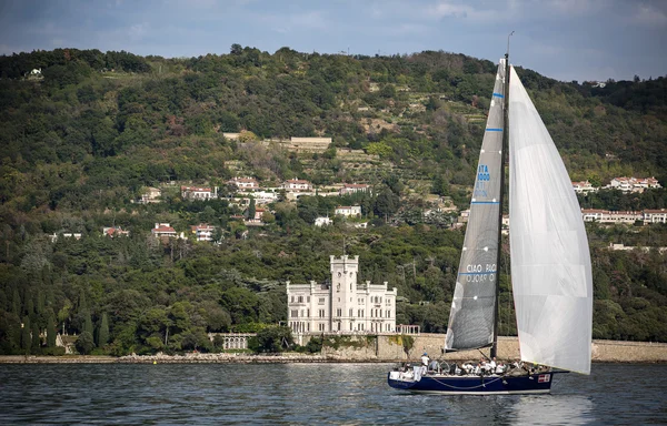 Veleros durante una carrera en el Golfo de Trieste con el Castillo de Miramare — Foto de Stock