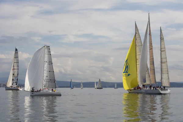 Veleros durante una carrera — Foto de Stock