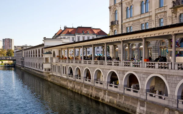 Rivière à Ljubljana — Photo