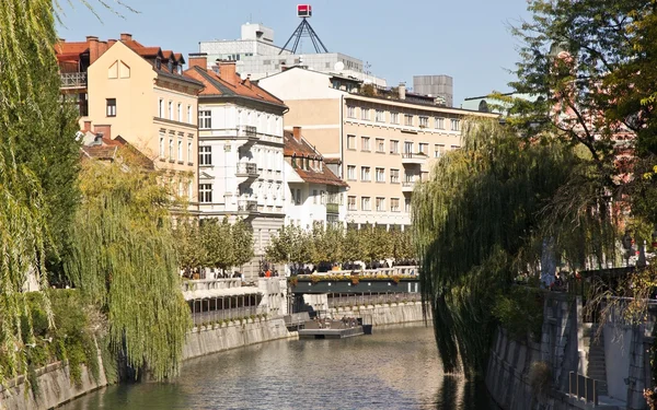 Rzeka w Lublanie — Zdjęcie stockowe