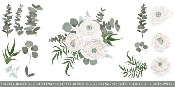 Composiciones florales sobre fondo blanco. — Vector de stock