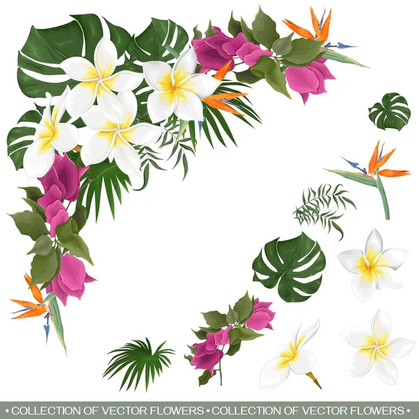 Composición tropical floral vectorial — Vector de stock