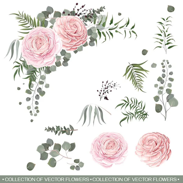 Colección vectorial floral — Vector de stock