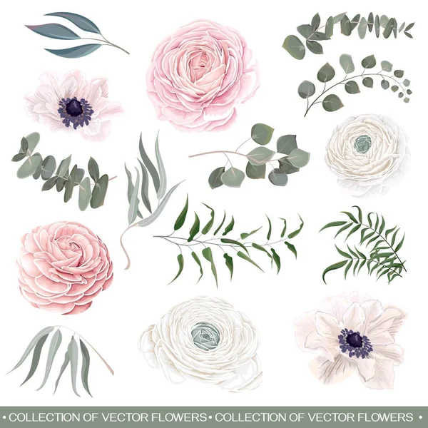 Set de flores vectoriales — Vector de stock