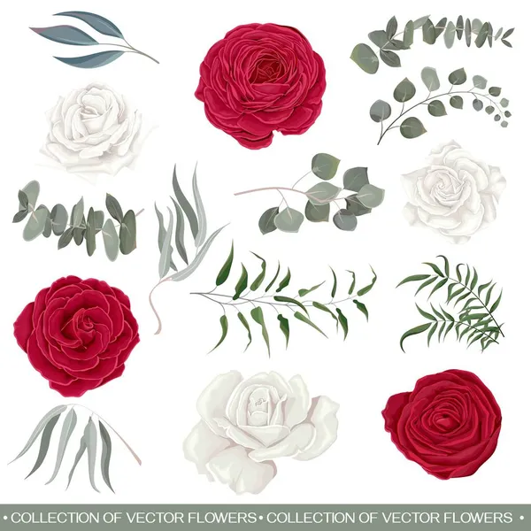 Set de flores vectoriales — Vector de stock