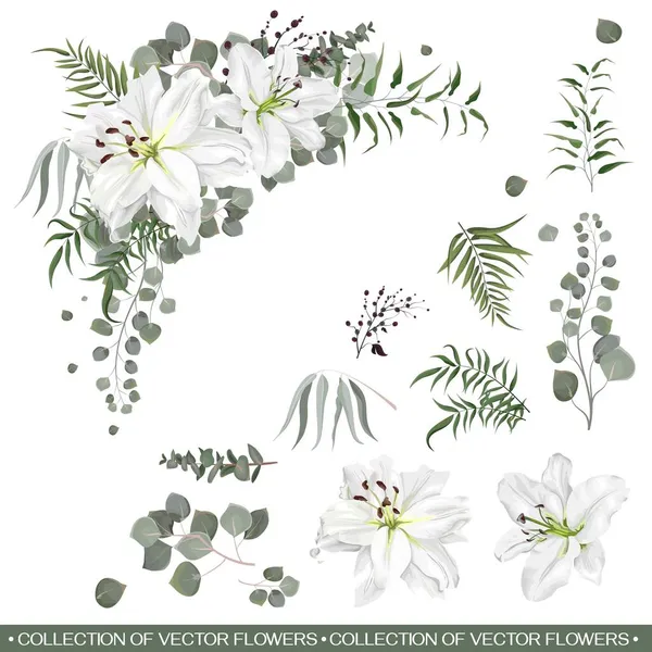 Floral vector collection — Stock Vector