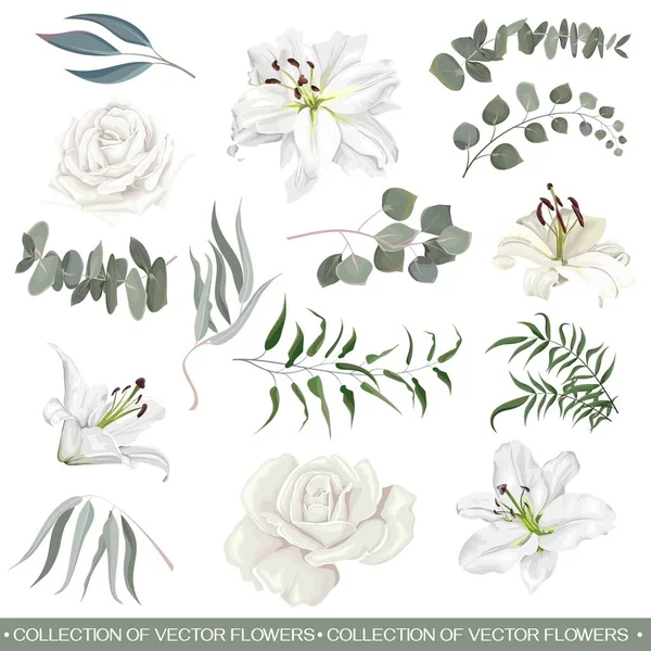 Set de flores vectoriales — Vector de stock