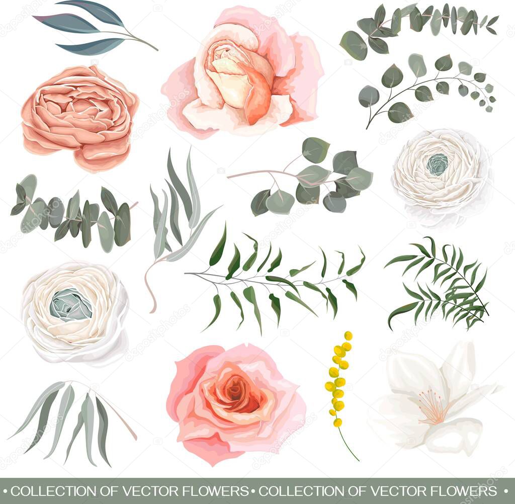 Floral vector set