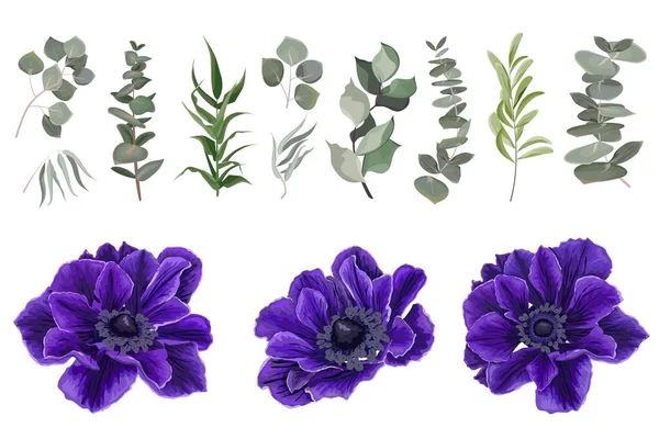 Векторный набор голубых анемонов и растений — стоковый вектор