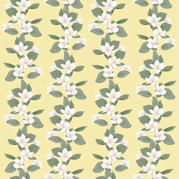 Motif floral vectoriel. Branches de magnolia blanc — Image vectorielle