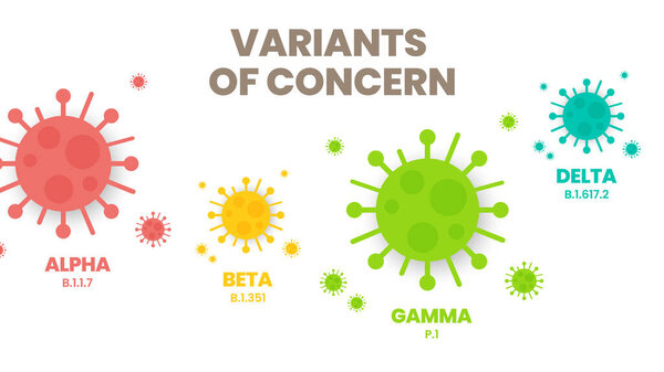 Illustrator vector of the COVID-19 virus's new Variants of Concern (VOC). A variant is mutated version of the original virus. Colorful infographic of the variations Alpha, Beta, Gamma and Delta.