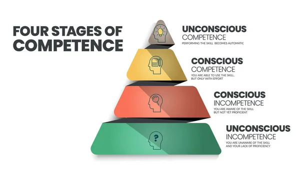 Die Vier Stufen Der Kompetenz Oder Das Modell Des Bewussten — Stockvektor
