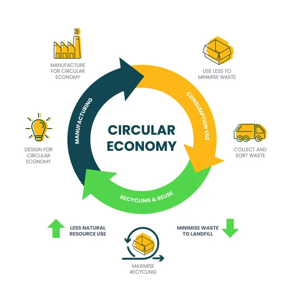 Vector Infographic Diagram Circular Economy Concept Has Dimensions Example Manufacturing — Stock Vector