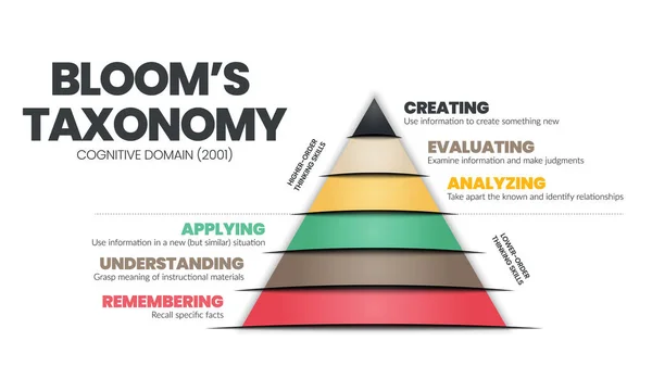 Taxonomy Pyramid Triangle Concept Cognitive Domain Vector Illustration Analyzing Hierarchy — Stock vektor