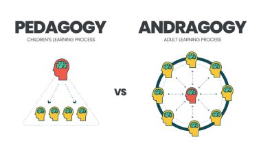 Pedagoji, çocuk eğitimi ve andragoji ya da yetişkin eğitimi arasındaki karşılaştırma vektör illüstrasyonu. Infographic, yetişkinlerin öğrenmesini kolaylaştıran öğretmenlerden farklıdır, öğretmeyi değil. 