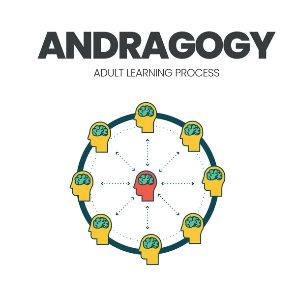 Vector Illustration Andragogy Concept Icon Method Principle Adult Education Self — Stock Vector