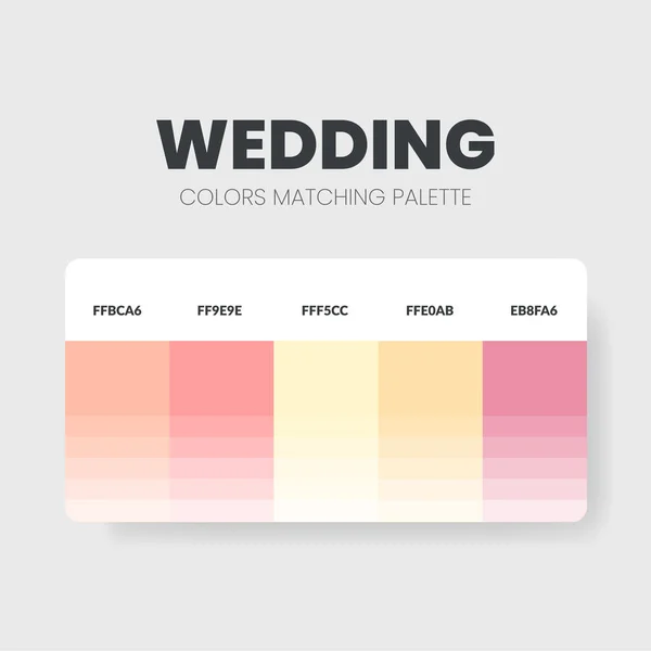 Paleta Colores Boda Esquemas Color Son Combinaciones Tendencias Guías Paleta — Vector de stock