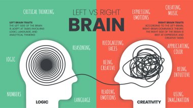 Left Brain vs. Right Brain Dominance infographic template. How the human brain works theory. Creative people right-brained and analytical thinkers left-brained concept.Visual slide presentation vector