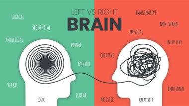 Left Brain vs. Right Brain Dominance infographic template. How the human brain works theory. Creative people right-brained and analytical thinkers left-brained concept. Visual slide for presentation vector. Education and Science illustrator.