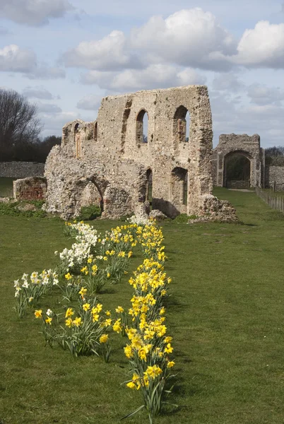 Les ruines de Greyfriars Friary, Suffolk — Photo