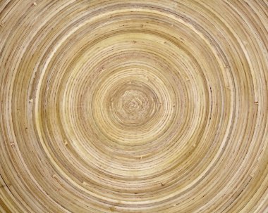 sıkıştırılmış bambu