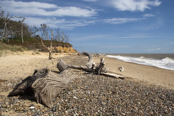 Benacre Beach, Suffolk, Inglaterra — Fotografia de Stock