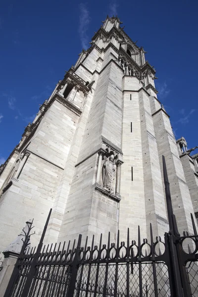 Lato sud di Notre Dame, Parigi, Francia — Foto Stock