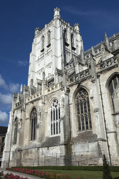 Saint omer Katedrali, Fransa — Stok fotoğraf