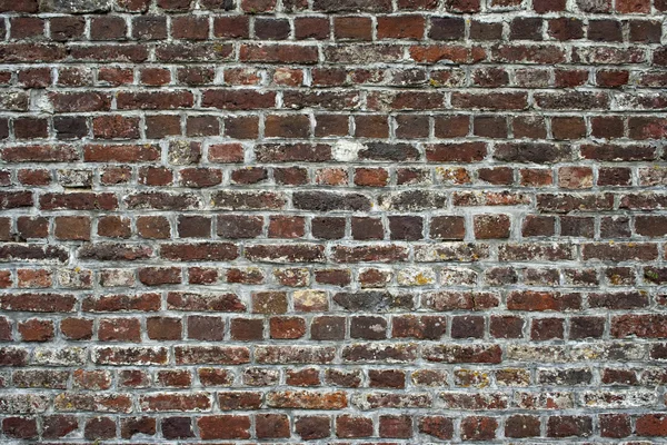 Brick Wall — Stock Photo, Image