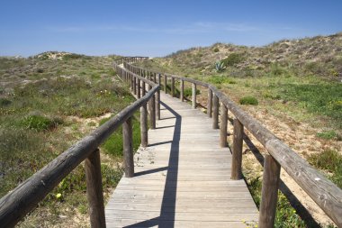 bordeira beach, algarve, Portekiz için önde gelen ahşap yürüme yolu
