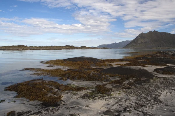 Gimsoy, Ilhas Lofoten, Noruega, Escandinávia — Fotografia de Stock