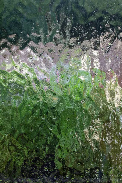 Natura Vista Attraverso Vetro Smerigliato Una Giornata Piovosa Ventosa Immagine — Foto Stock
